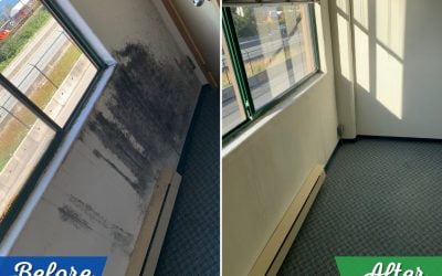 Vancouver Commercial Cleaning Job Site Before and After Cleaning Photos
