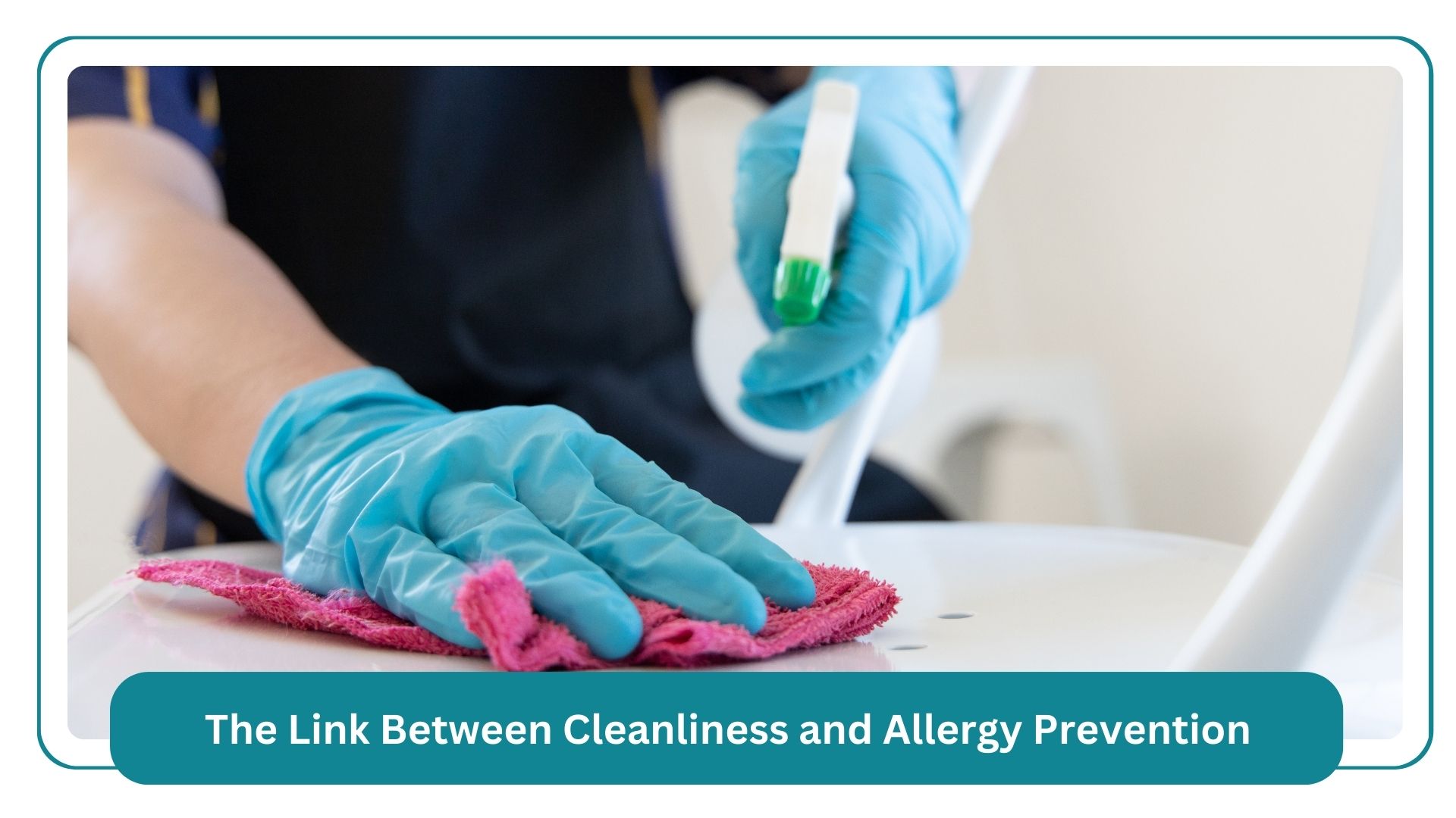 cleaning tips for pet owners keeping your home fresh and tidy (2)