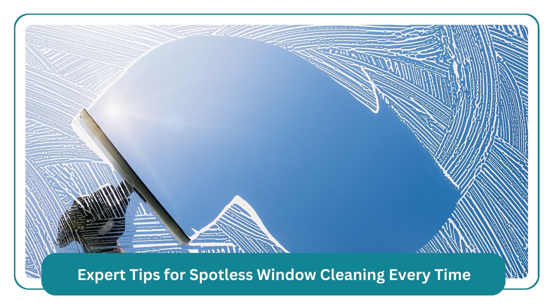 Our Experts in Delta, BC by Forever Cleaning Services