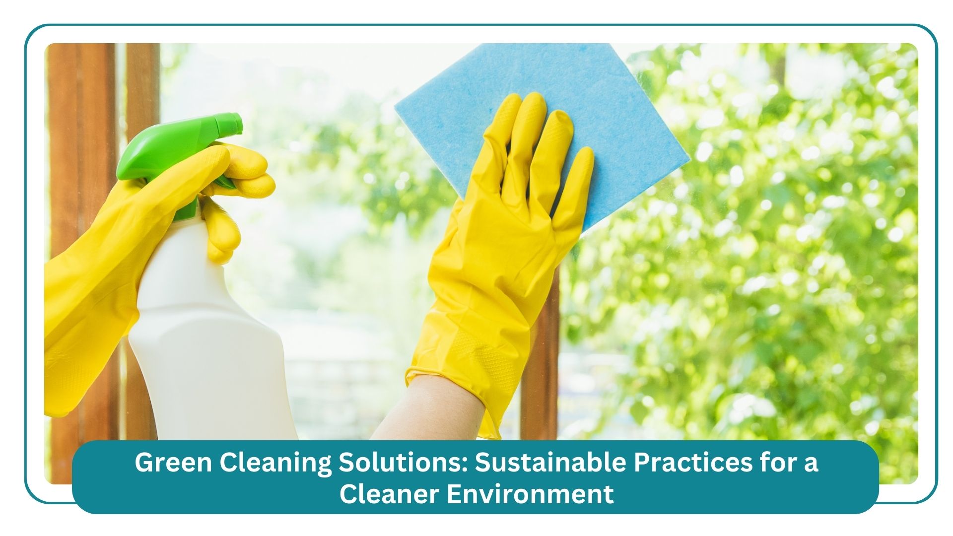 Our Experts in Delta, BC by Forever Cleaning Services