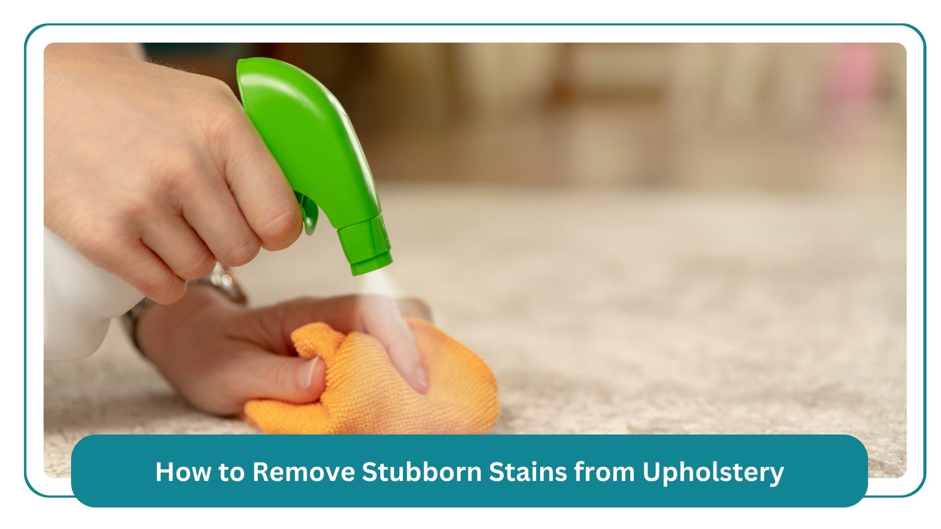 Our Experts in Delta, BC by Forever Cleaning Services