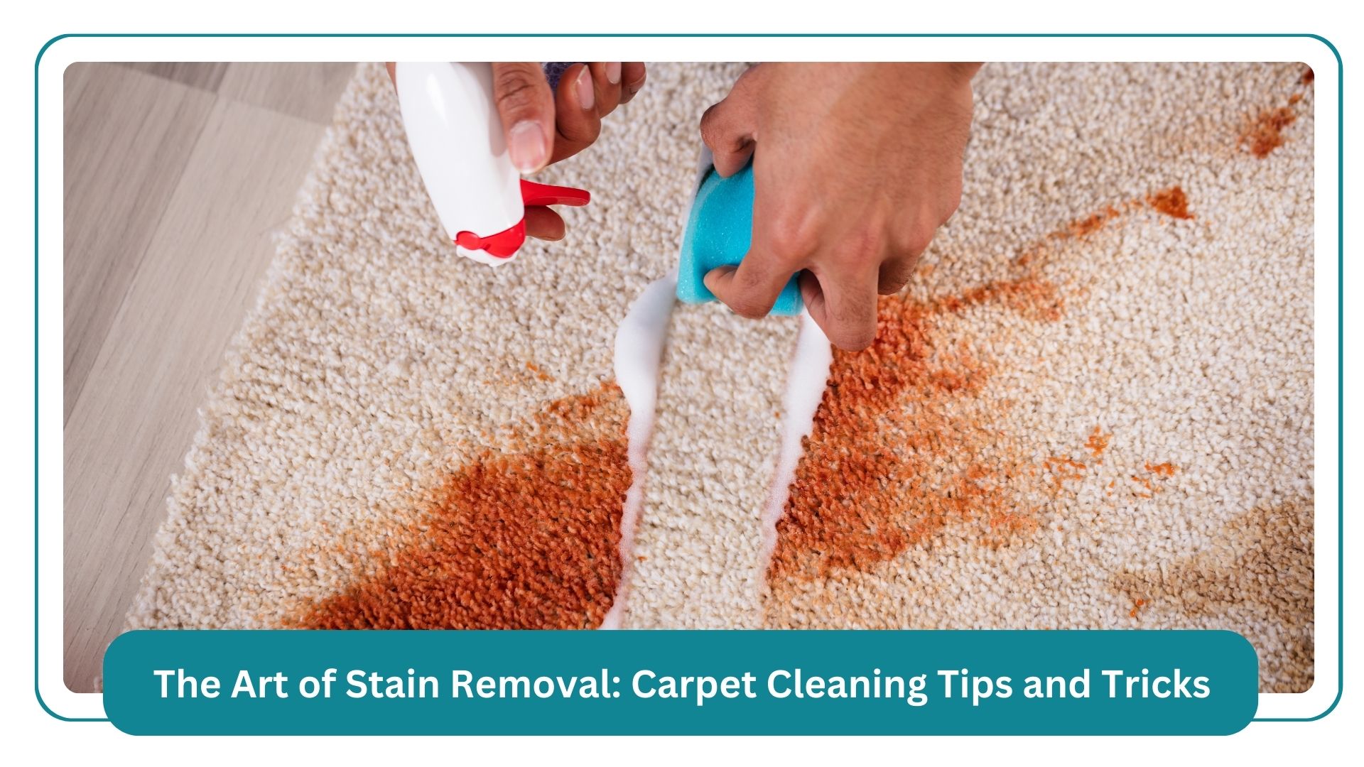 Our Experts in Delta, BC by Forever Cleaning Services