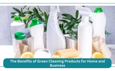The Benefits of Green Cleaning Products for Home and Business