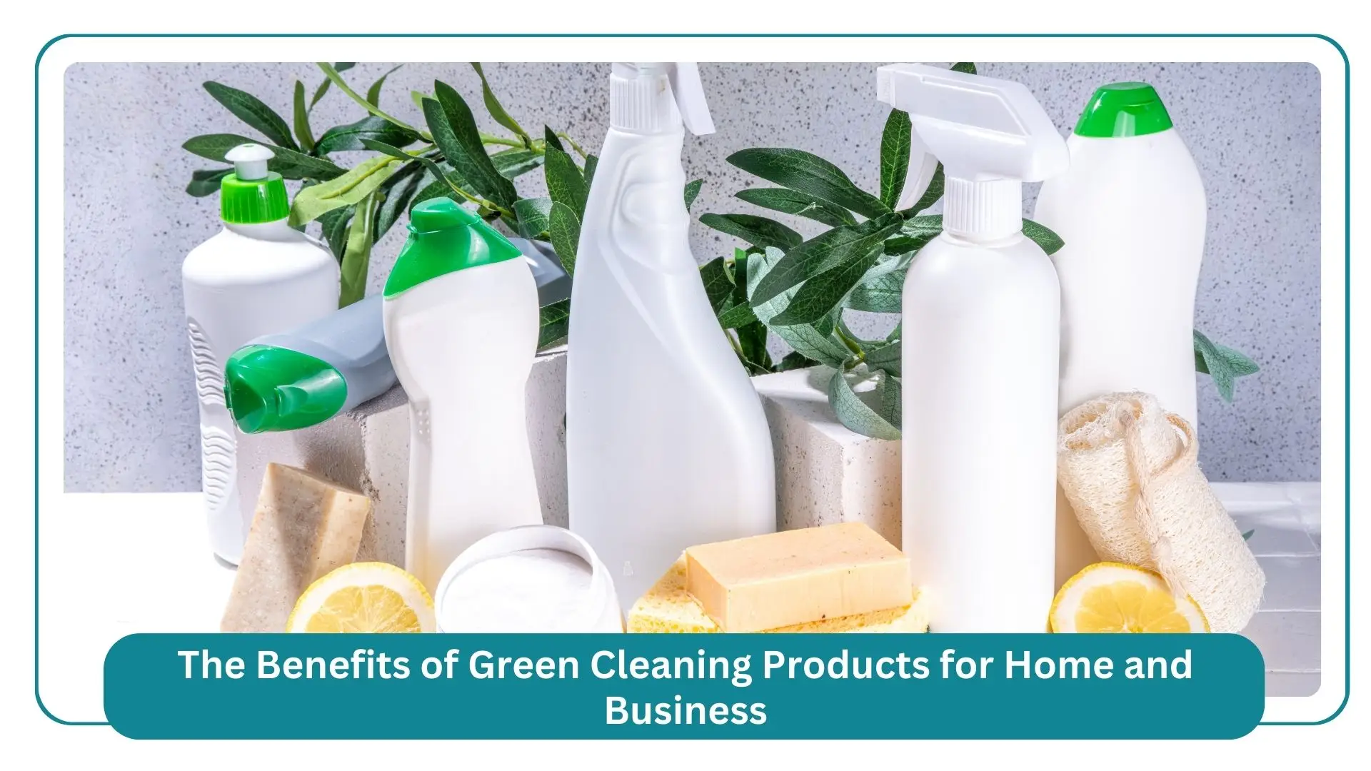 the benefits of green cleaning products for home and business
