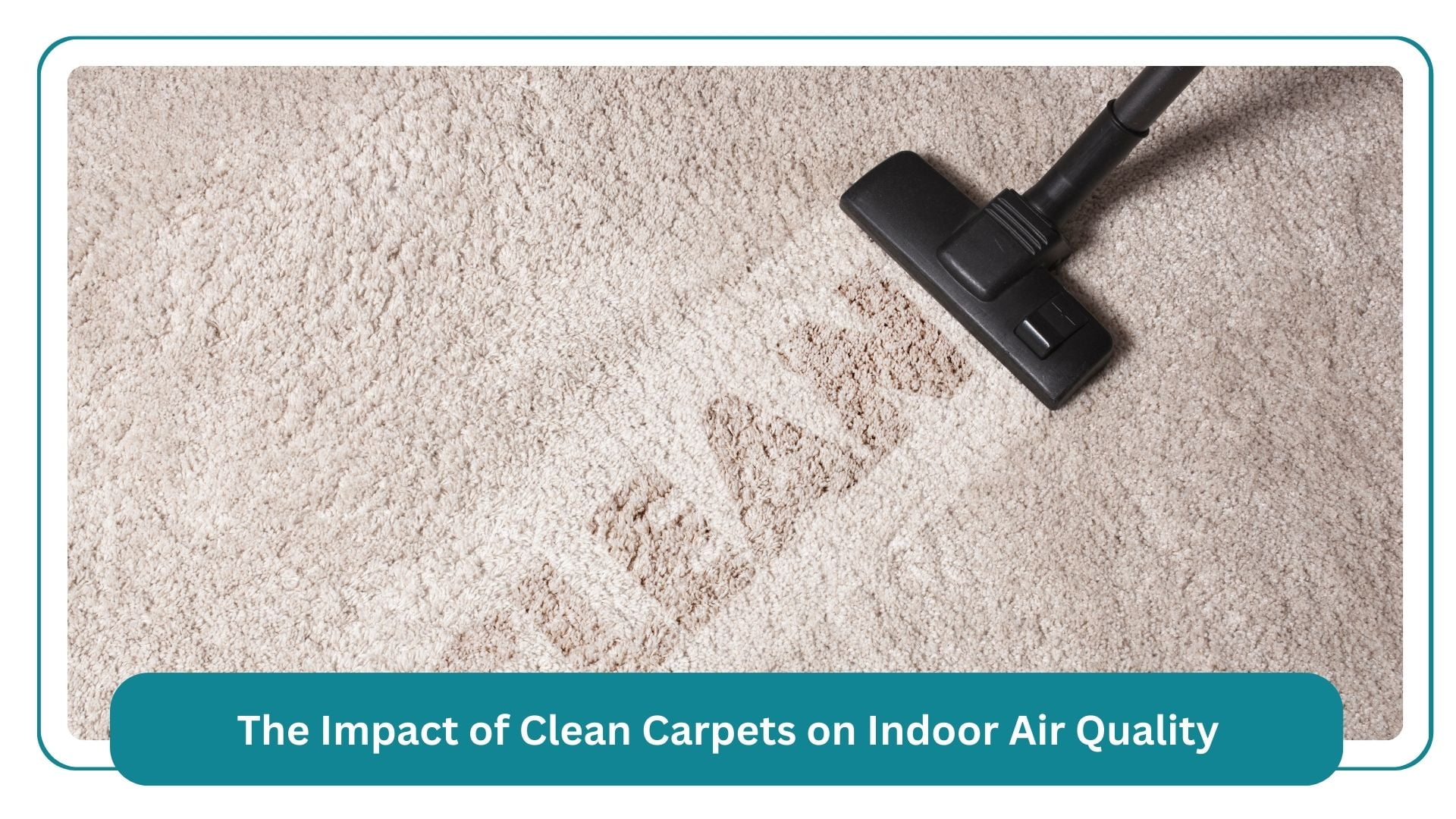 the impact of clean carpets on indoor air quality