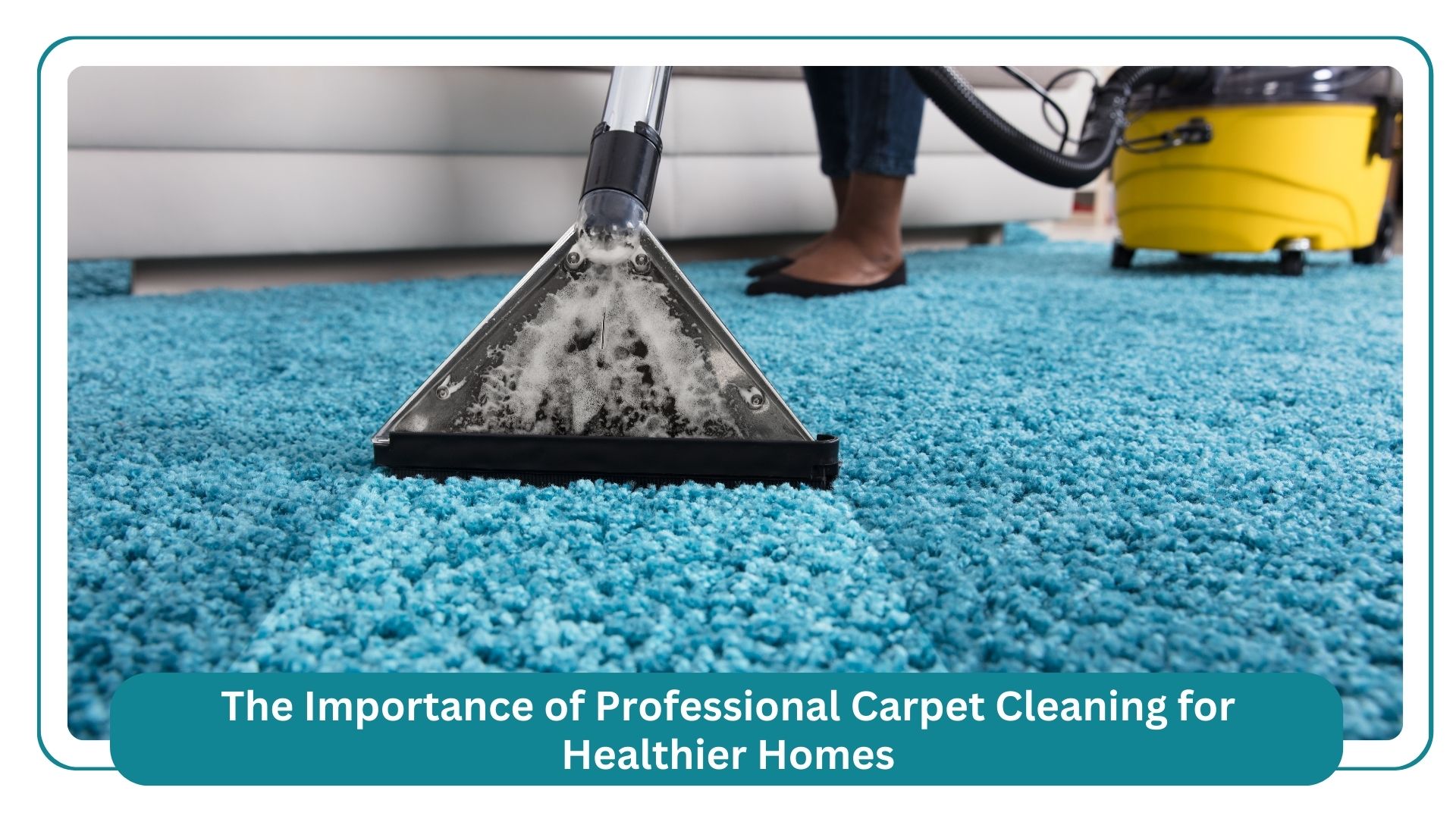 the importance of professional carpet cleaning for healthier homes